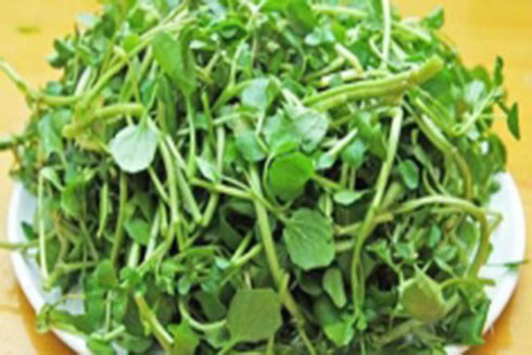 5 tác dụng chữa bệnh tuyệt vời từ cải xoong