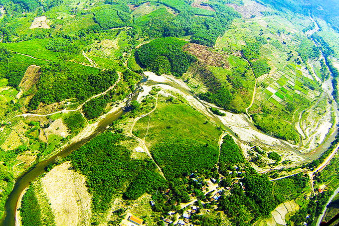 Gian nan giữ rừng dịp Tết