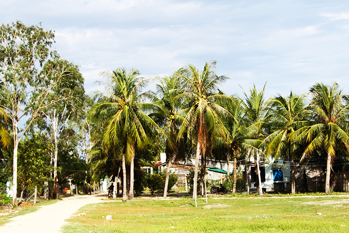 Khu đất chủng viện cũ ở phường Cam Phúc Nam đã bị người dân lấn chiếm, xây nhà, trồng cây lâu năm từ năm 1981 đến nay.