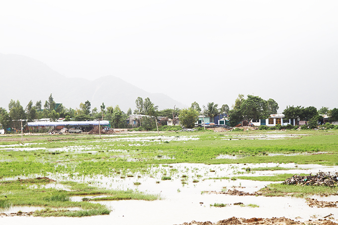 Chấm dứt dự án BT Trung tâm Hành chính tỉnh