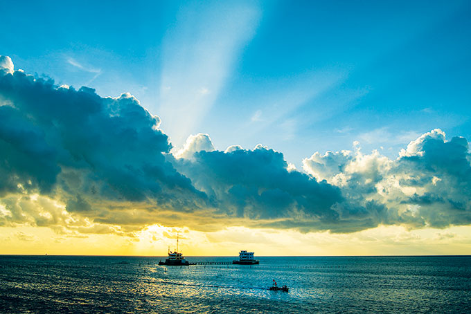 Phút thảnh thơi bên hiên chùa…