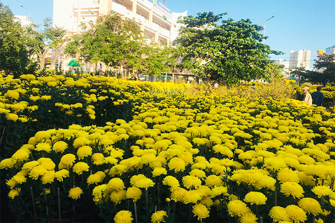 Dạo chợ hoa Nha Trang