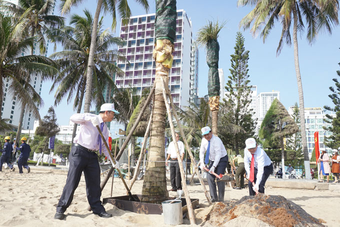 Ông Lê Hữu Hoàng và ông Lê Hữu Thọ - Bí thư Thành ủy Nha Trang trồng cây tại bãi biển.