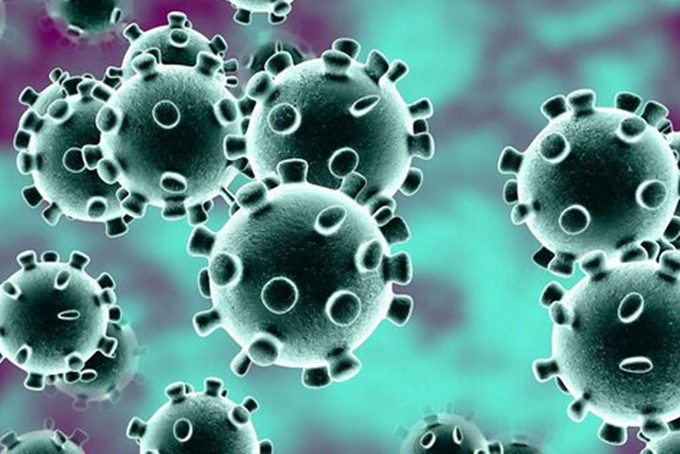nCoV, virus gây ra dịch viêm phổi Vũ Hán, có nhiều điểm giống SARS-CoV. 