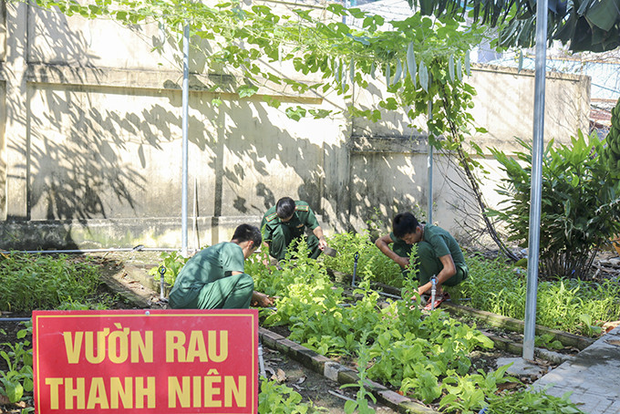  Vườn rau tăng gia sản xuất của Hải đội 2, Bộ đội Biên phòng tỉnh.