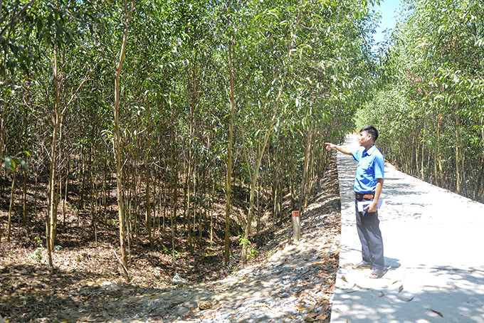 Phần đất dự kiến triển khai xây dựng nghĩa trang của xã Liên Sang.