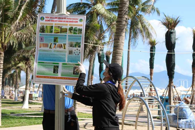 Treo Poster tuyên truyền về giải pháp phòng chống bọ cánh cứng hại dừa