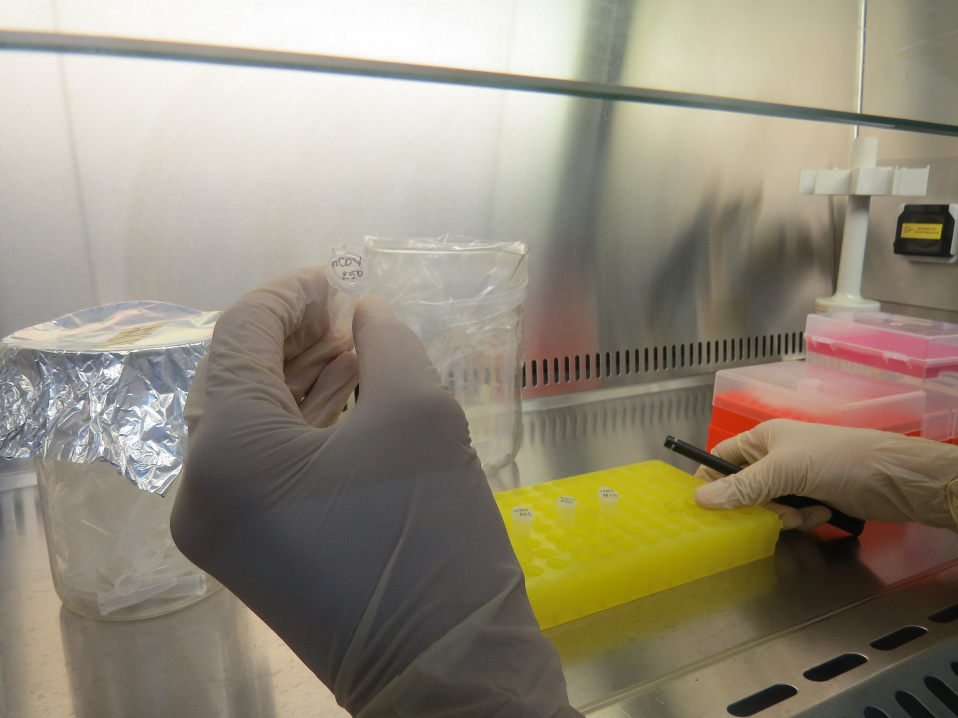 Xét nghiệm mẫu bệnh phẩm nghi nhiễm Covid-19 tại Viện Pasteur Nha Trang