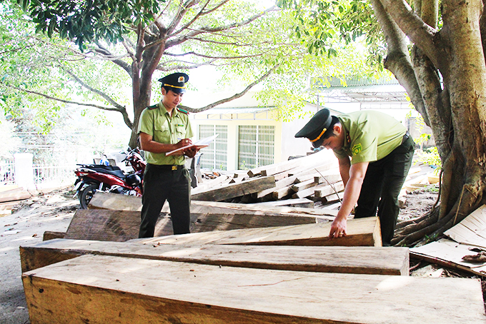 Hạt Kiểm lâm Khánh Sơn xử lý 13 vụ vi phạm Luật Lâm nghiệp