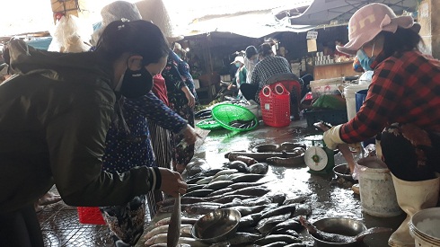 Một sạp cá ở Chợ Vĩnh Hải  có giá bán ổn định so với ngày thường