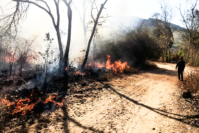 Lực lượng của Ban Quản lý rừng phòng hộ Bắc Khánh Hòa đóng chốt, kịp thời phát hiện nguy cơ cháy lan trong rừng căm xe.