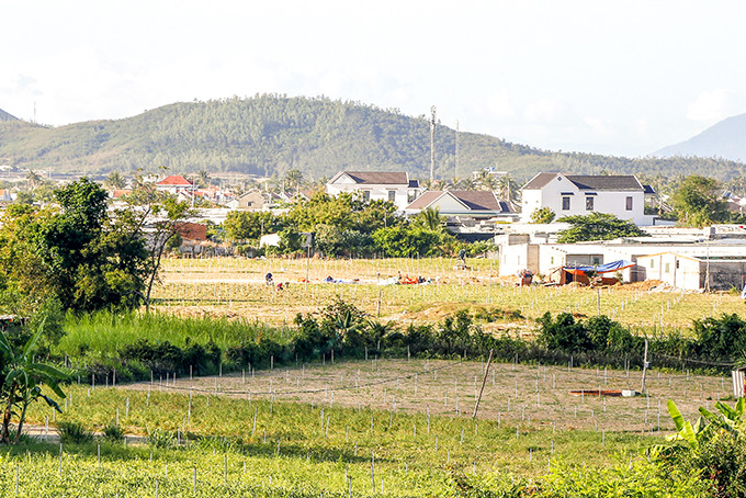 Một góc xã Ninh Phước, thị xã Ninh Hòa.