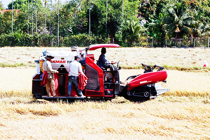 Công bố hạn ngạch xuất khẩu gạo trong tháng 4
