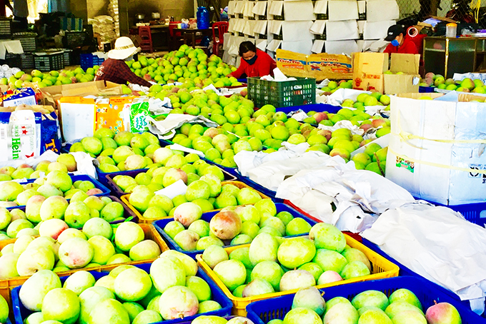 Nghiệm thu dự án ứng dụng công nghệ liên kết chuỗi tiêu thụ xoài