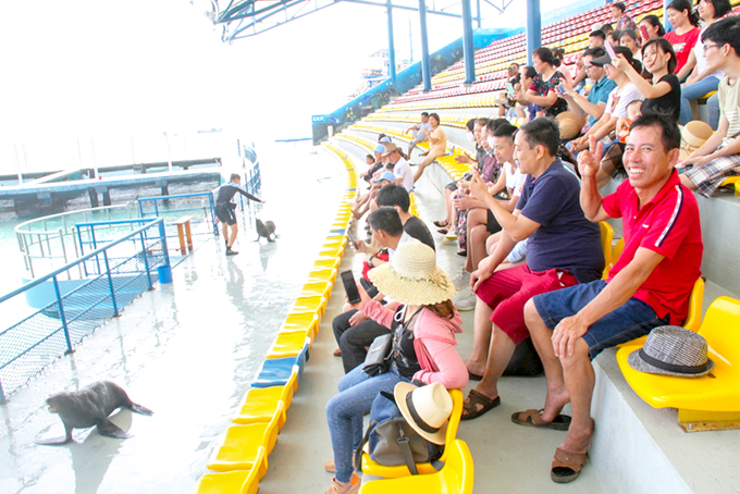 Khu du lịch  Vinpearl Land Nha Trang mở cửa trở lại từ ngày 12-5. (Trong ảnh: Du khách xem xiếc hải cẩu tại Vinpearl).
