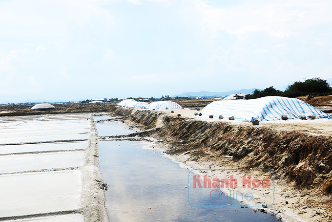 Muối được thu hoạch dồn đống trên các tuyến đường cả tháng chưa có người mua.