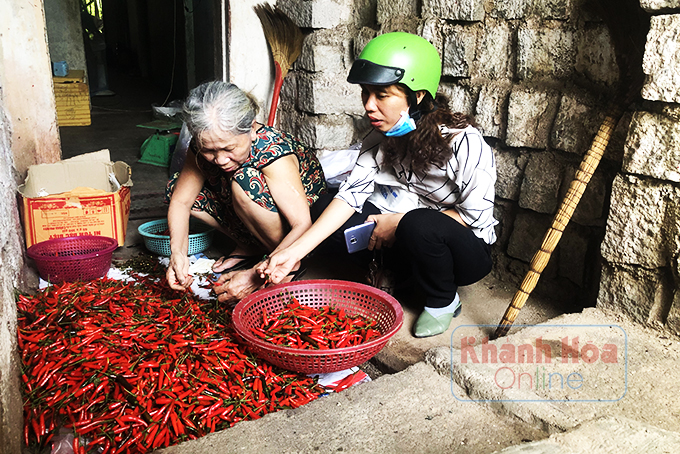 Những nhịp cầu nhân ái