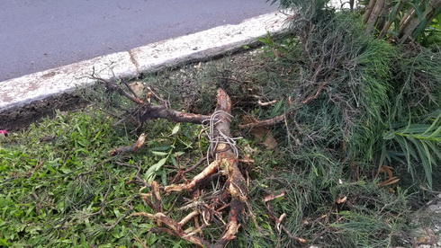 Xe 16 chỗ nổ lốp, leo lên dải phân cách