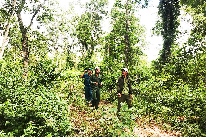 Lực lượng chức năng tuần tra trong vùng lõi rừng căm xe Ninh Tây.