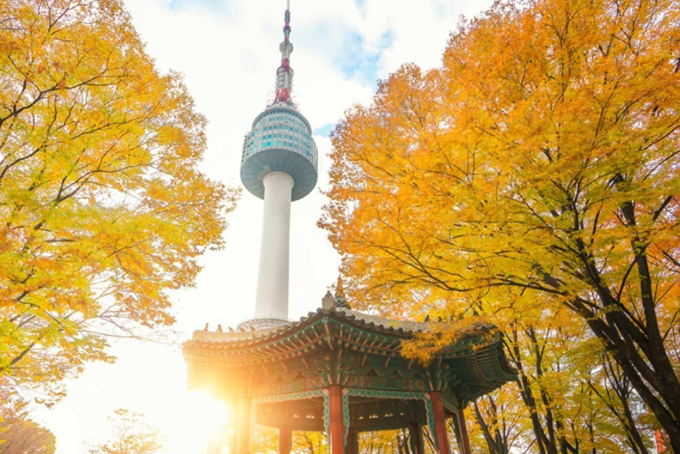 Sẽ tổ chức lớp bồi dưỡng ngoại ngữ tiếng Hàn