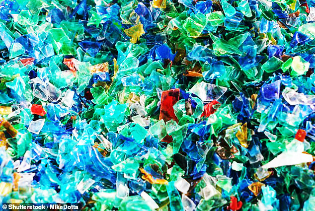 Các hạt vi nhựa như thế này có thể đi vào cơ thể thông qua đường ăn uống hoặc hô hấp.