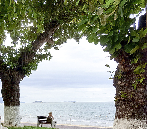 Mùa thu của ước mơ… (*)