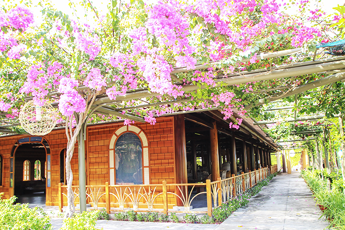 Buổi chiều nghe câu vọng cổ