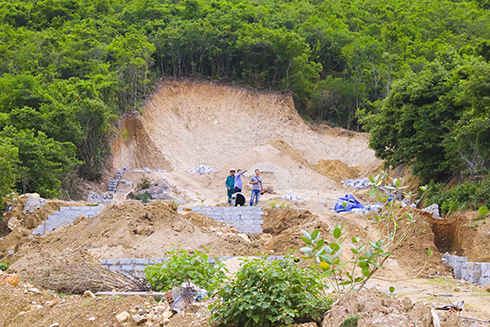 Ngăn chặn trường hợp khoét núi, làm móng trên đất rừng