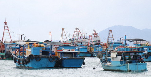 Các tàu bè neo tại khu vực cảng cá Đá Bạc, phường Cam Linh để tránh, trú bão