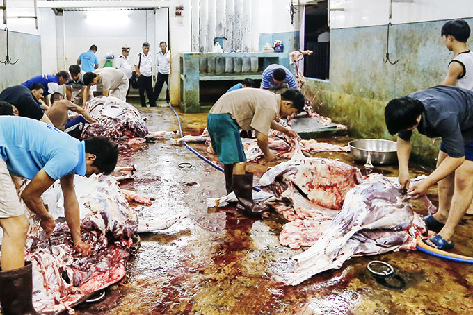 Một điểm giết mổ gia súc tại TP. Nha Trang chưa đảm bảo các điều kiện vệ sinh thú y.