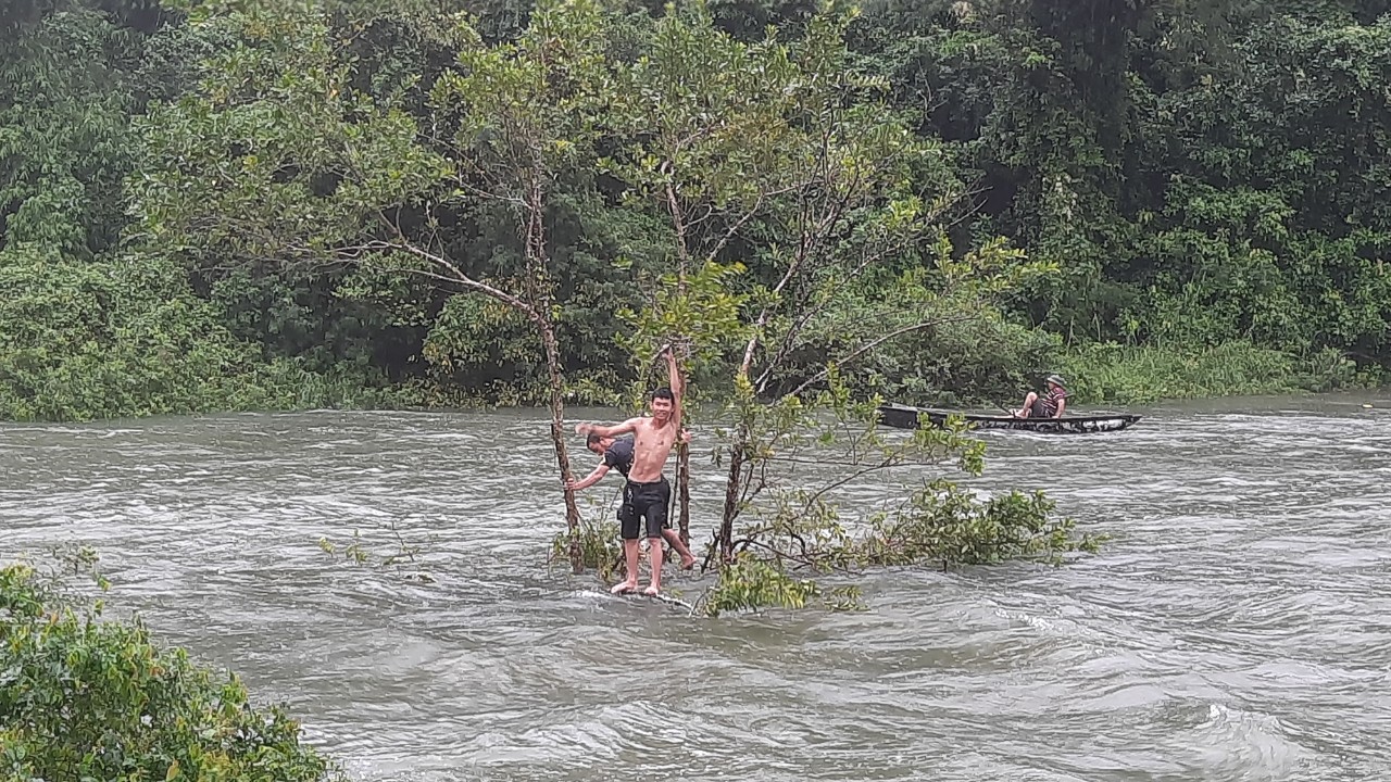 Người dân leo lên cành cây giữa dòng nước lũ để đợi bắt cá