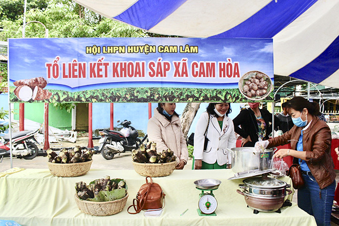 Tổ liên kết khoai sáp xã Cam Hòa, huyện Cam Lâm tham gia phiên chợ Đồng hành phụ nữ khởi nghiệp. 