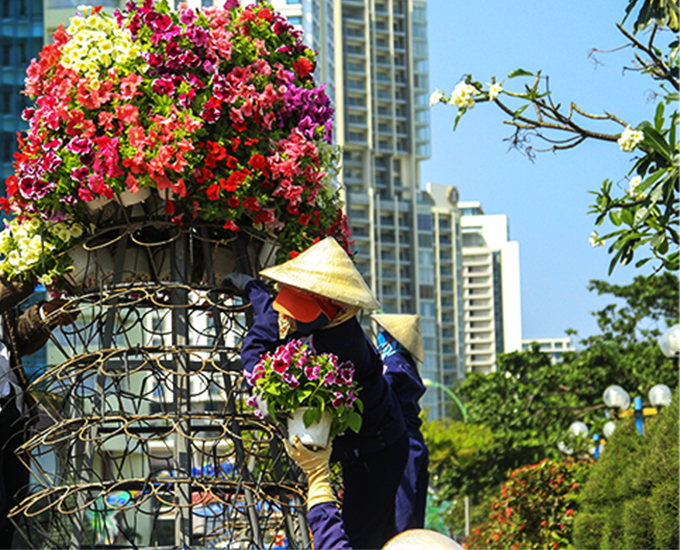 Những mùa hoa đọng lại