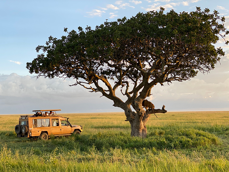 Cảnh tuyệt đẹp trong chuyến đi “săn” ở Công viên quốc gia Serengeti