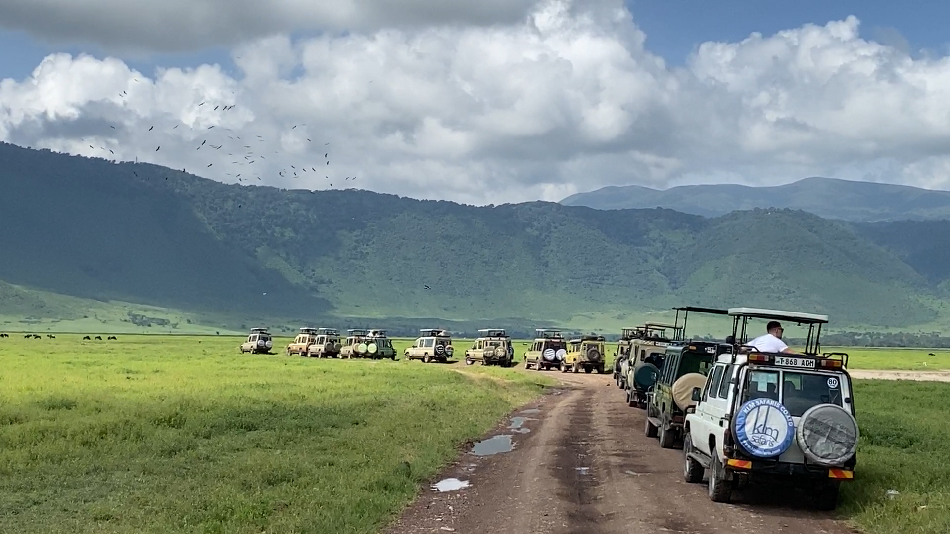 Đoàn xe đi “săn” Big Five ở Khu bảo tồn thiên nhiên Ngorongoro
