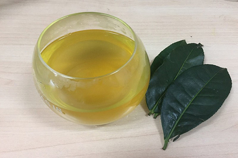 Uống trà xanh giúp giảm cân vì trà xanh chứa chất có thể giúp bạn giảm mỡ. Ảnh: NHẬT LINH