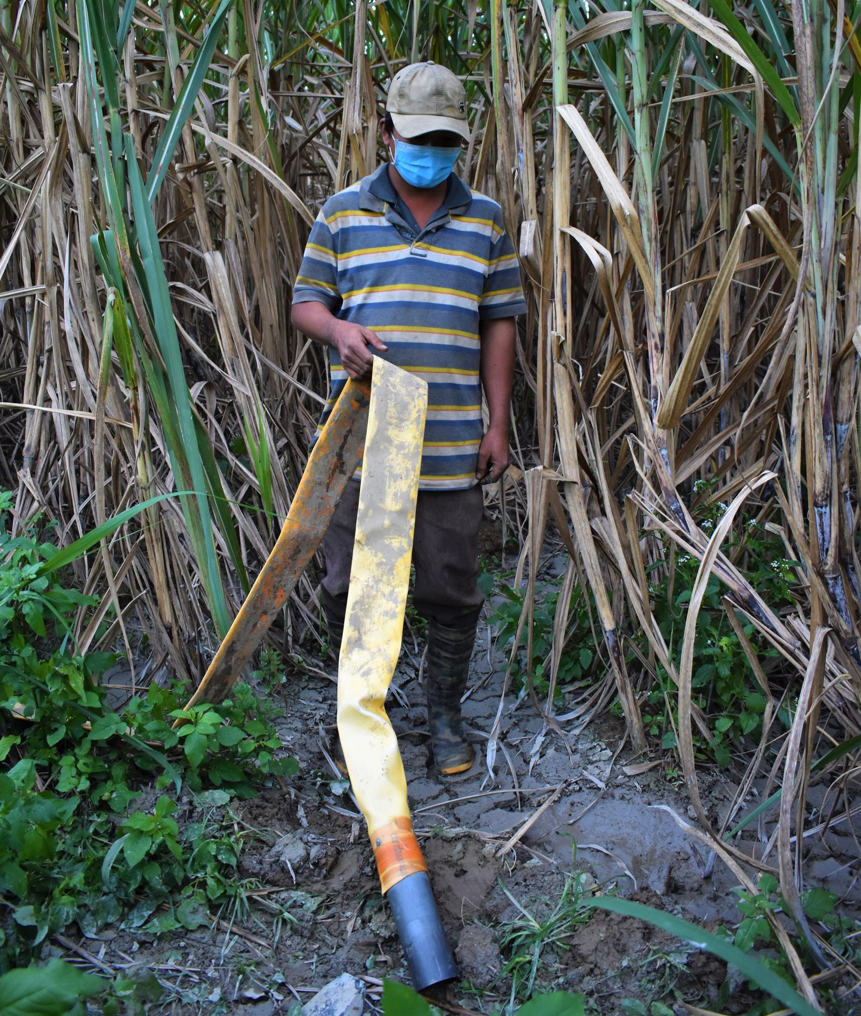 Đoạn dây nối bơm nước từ công ty ra khu vực trồng mía của người dân.