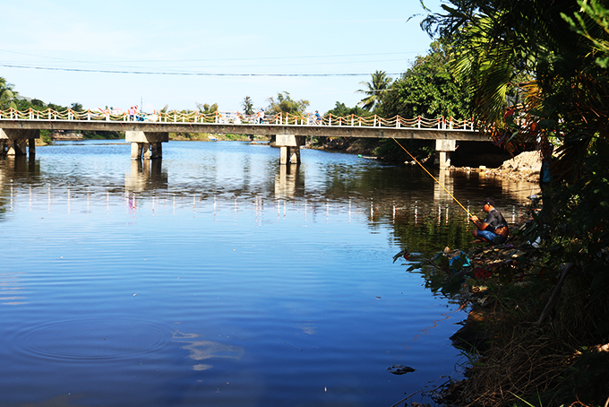 Nha Trang: Sứa xuất hiện tại cầu Bè