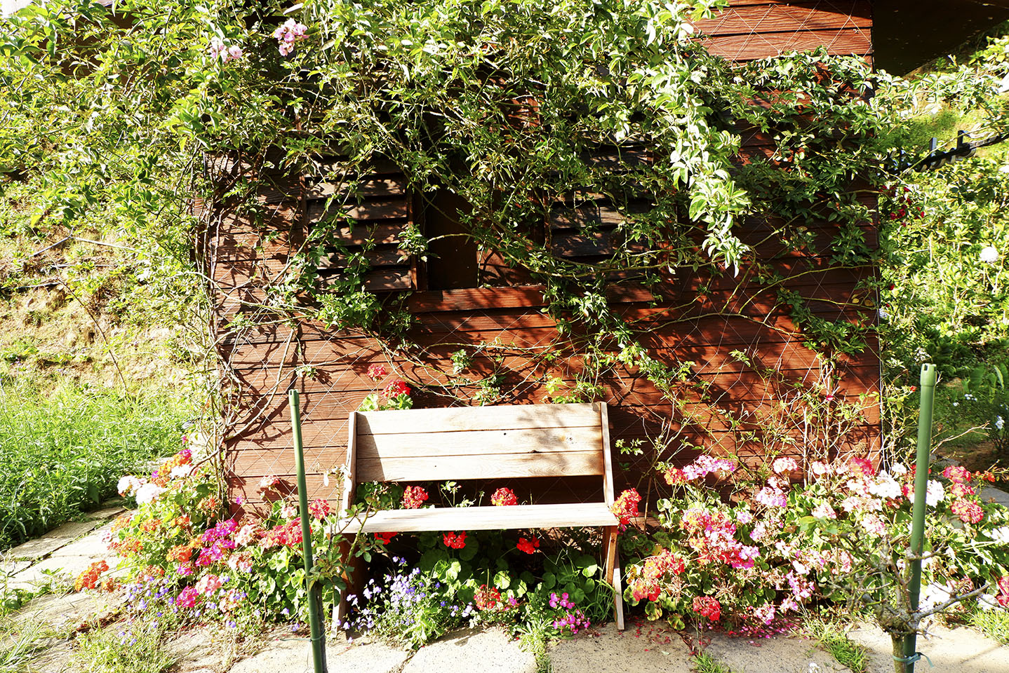 Những báu vật trong ngôi nhà cũ