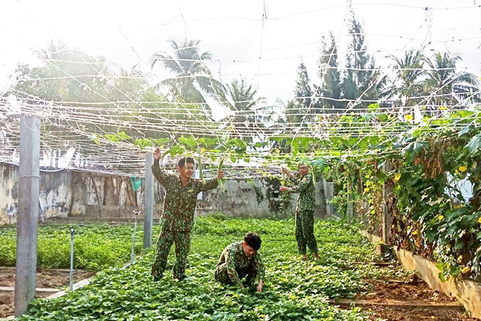 Đồn Biên phòng Ninh Hải: Vượt khó tăng gia sản xuất