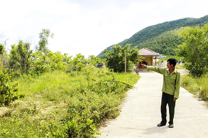 Các cấp hội cựu chiến binh: Tích cực xây dựng nông thôn mới