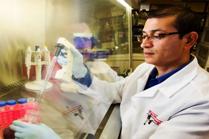 Keo đặc biệt tái tạo tế bào thần kinh