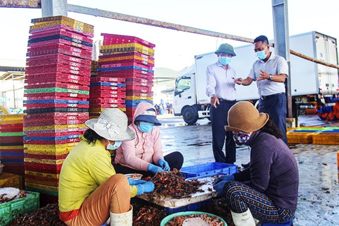  Lãnh đạo Sở Nông nghiệp và Phát triển nông thôn  kiểm tra công tác phòng dịch tại cảng Vĩnh Lương.  