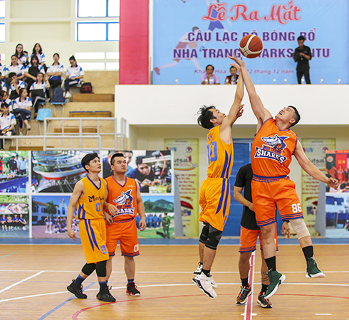 Luồng gió mới từ bóng rổ phong trào