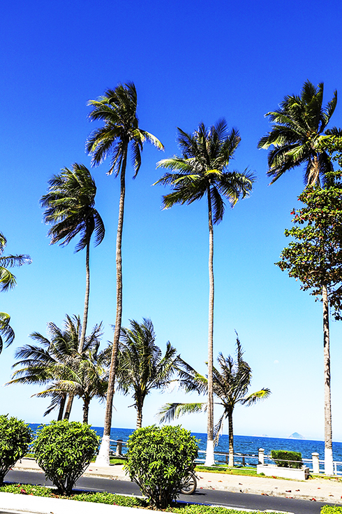 Hoài nhớ biển xưa