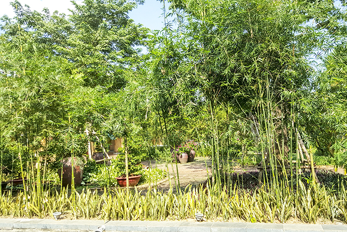 Những ngày hè thương nhớ