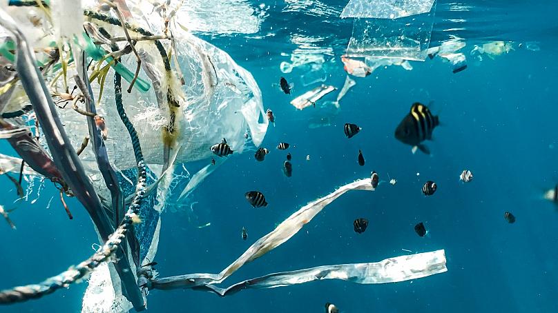 Rác thải nhựa đe dọa đời sống các loài động, thực vật dưới đại dương. Ảnh: Unsplash