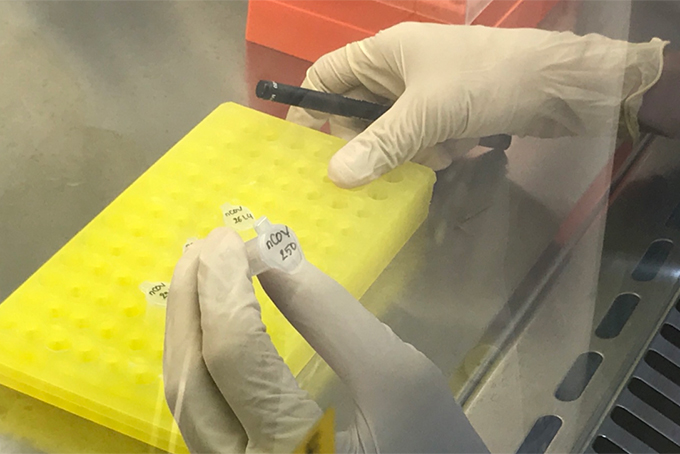 Đến 16 giờ ngày 19-7, Khánh Hòa ghi nhận thêm 11 ca dương tính với SARS-CoV-2