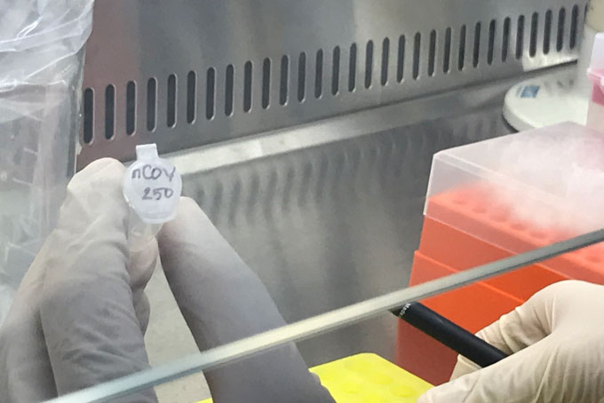 Đến 17 giờ ngày 4-8, Khánh Hòa ghi nhận thêm 26 ca dương tính với SARS-CoV-2