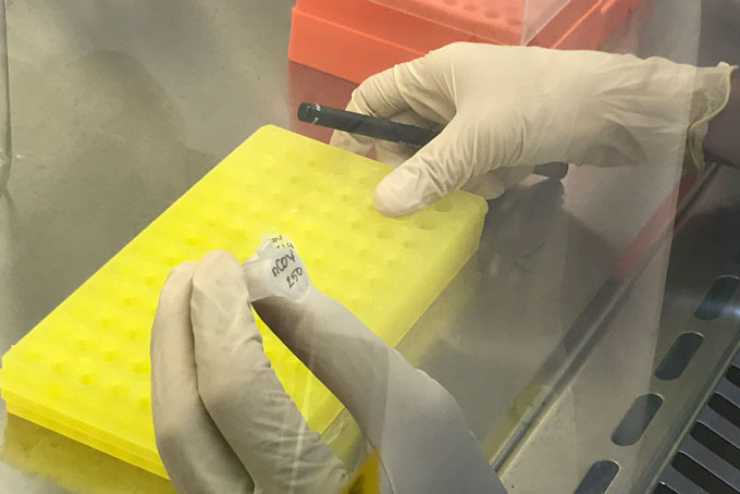 Khánh Hòa ghi nhận thêm 2 ca dương tính với SARS-CoV-2